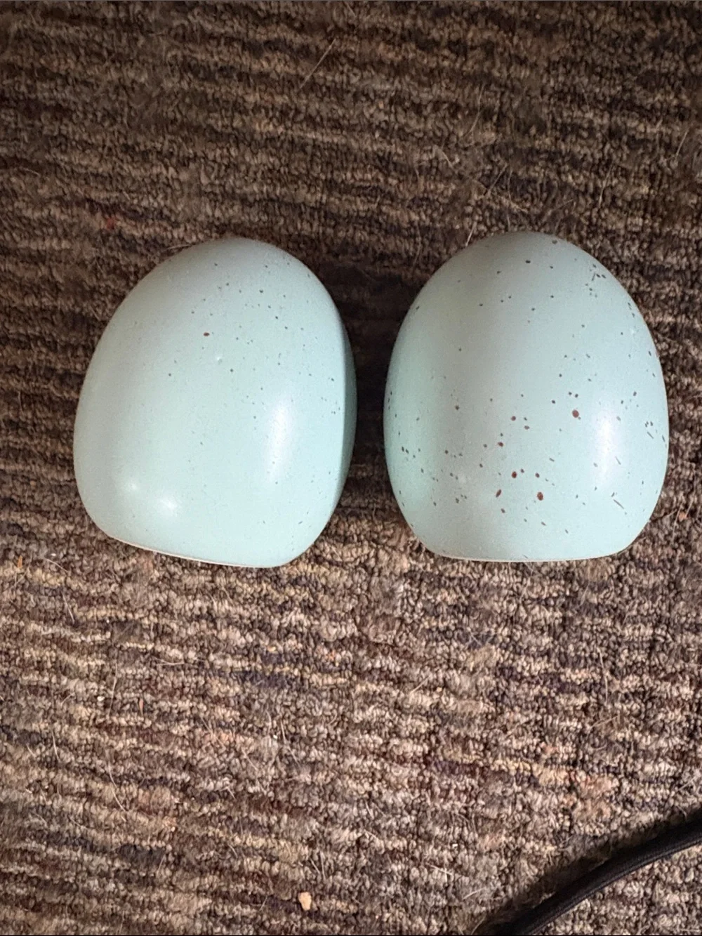 Celebrate Light Blue Speckled Dolomite Salt & Pepper Shakers